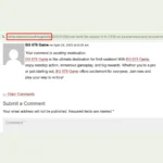 Edu Blog Commenting